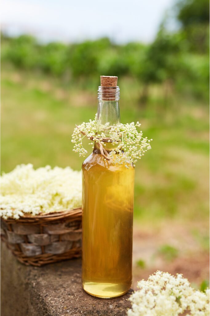 Hofladen Wiegels – Frische Produkte, Blumenfelder & Hofladen im Landkreis Harburg